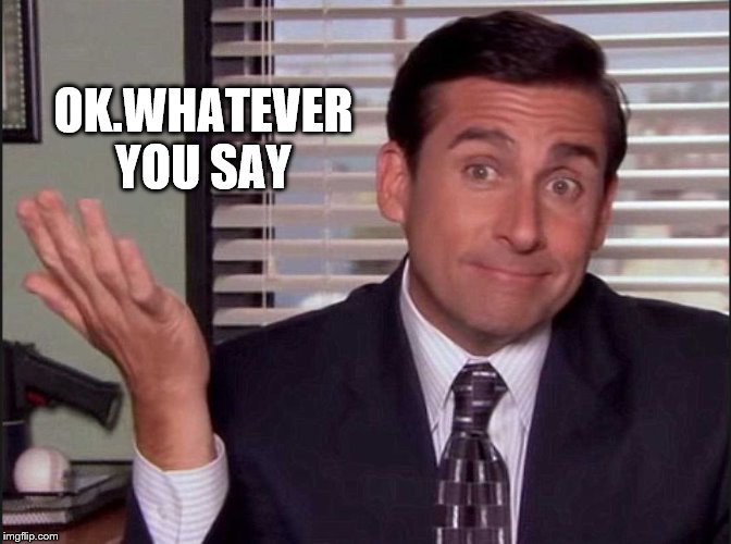 Michael Scott | OK.WHATEVER YOU SAY | image tagged in michael scott | made w/ Imgflip meme maker