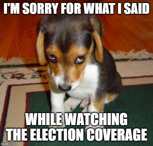 sorry | I'M SORRY FOR WHAT I SAID; WHILE WATCHING THE ELECTION COVERAGE | image tagged in sorry | made w/ Imgflip meme maker