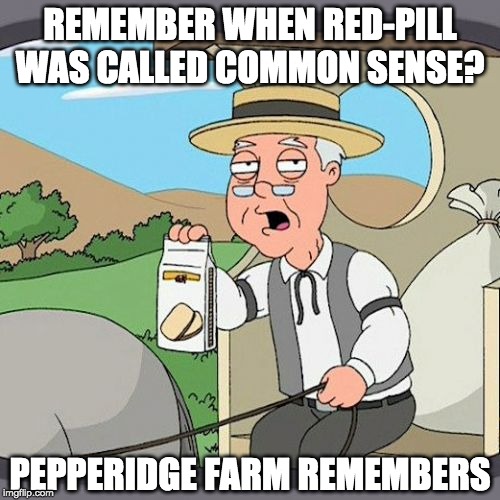 Pepperidge Farm Remembers | REMEMBER WHEN RED-PILL WAS CALLED COMMON SENSE? PEPPERIDGE FARM REMEMBERS | image tagged in memes,pepperidge farm remembers | made w/ Imgflip meme maker