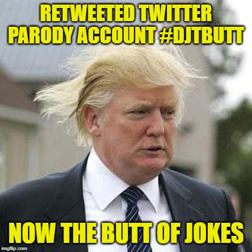 It's Only Appropriate, Since That's What He Talks Out Of.. | RETWEETED TWITTER PARODY ACCOUNT #DJTBUTT; NOW THE BUTT OF JOKES | image tagged in donald trump,twitter | made w/ Imgflip meme maker