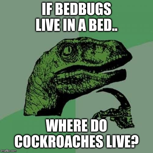 Philosoraptor Meme | IF BEDBUGS LIVE IN A BED.. WHERE DO COCKROACHES LIVE? | image tagged in memes,philosoraptor | made w/ Imgflip meme maker