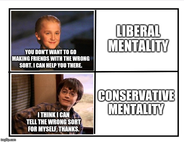 Liberal vs. Conservative | LIBERAL MENTALITY; YOU DON'T WANT TO GO MAKING FRIENDS WITH THE WRONG SORT. I CAN HELP YOU THERE. CONSERVATIVE MENTALITY; I THINK I CAN TELL THE WRONG SORT FOR MYSELF, THANKS. | image tagged in memes,harry potter,stupid liberals,conservatives,us constitution,make america great again | made w/ Imgflip meme maker