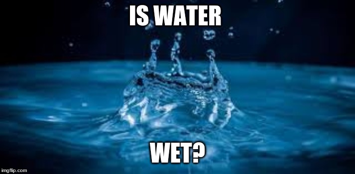 IS WATER; WET? | made w/ Imgflip meme maker