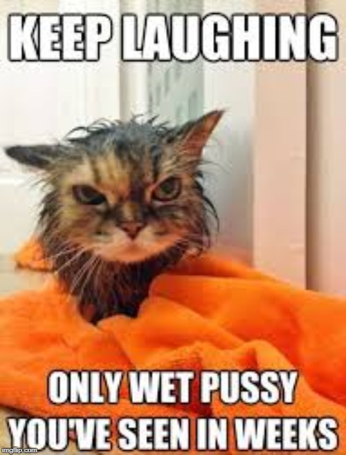 None for You | image tagged in angry wet cat | made w/ Imgflip meme maker