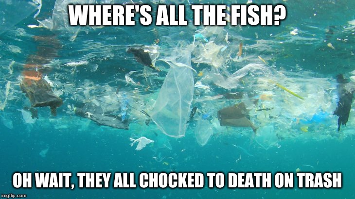 OCEAN TRASH | WHERE'S ALL THE FISH? OH WAIT, THEY ALL CHOCKED TO DEATH ON TRASH | image tagged in ocean | made w/ Imgflip meme maker