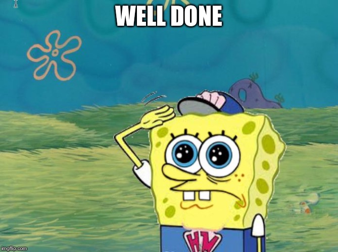 Spongebob salute | WELL DONE | image tagged in spongebob salute | made w/ Imgflip meme maker