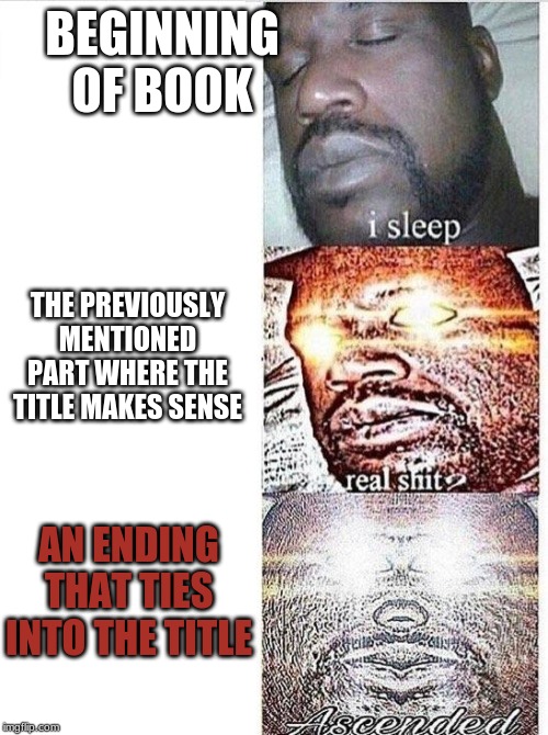 I sleep meme with ascended template | BEGINNING OF BOOK THE PREVIOUSLY MENTIONED PART WHERE THE TITLE MAKES SENSE AN ENDING THAT TIES INTO THE TITLE | image tagged in i sleep meme with ascended template | made w/ Imgflip meme maker