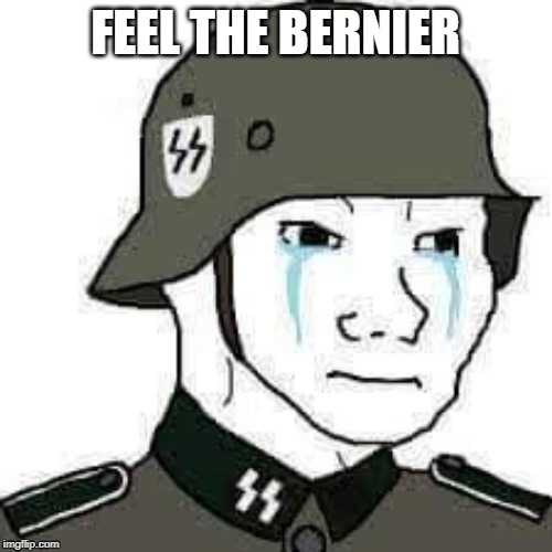 Feel the Bernier | image tagged in maxime bernier | made w/ Imgflip meme maker
