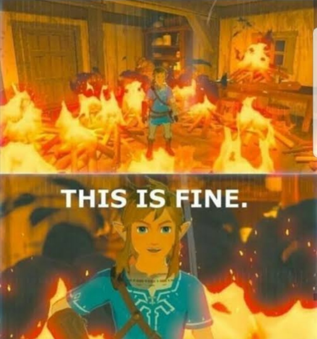 High Quality This is fine Link Blank Meme Template
