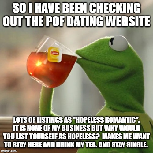 But That's None Of My Business Meme | SO I HAVE BEEN CHECKING OUT THE POF DATING WEBSITE; LOTS OF LISTINGS AS "HOPELESS ROMANTIC". IT IS NONE OF MY BUSINESS BUT WHY WOULD YOU LIST YOURSELF AS HOPELESS?  MAKES ME WANT TO STAY HERE AND DRINK MY TEA. AND STAY SINGLE. | image tagged in memes,but thats none of my business,kermit the frog | made w/ Imgflip meme maker