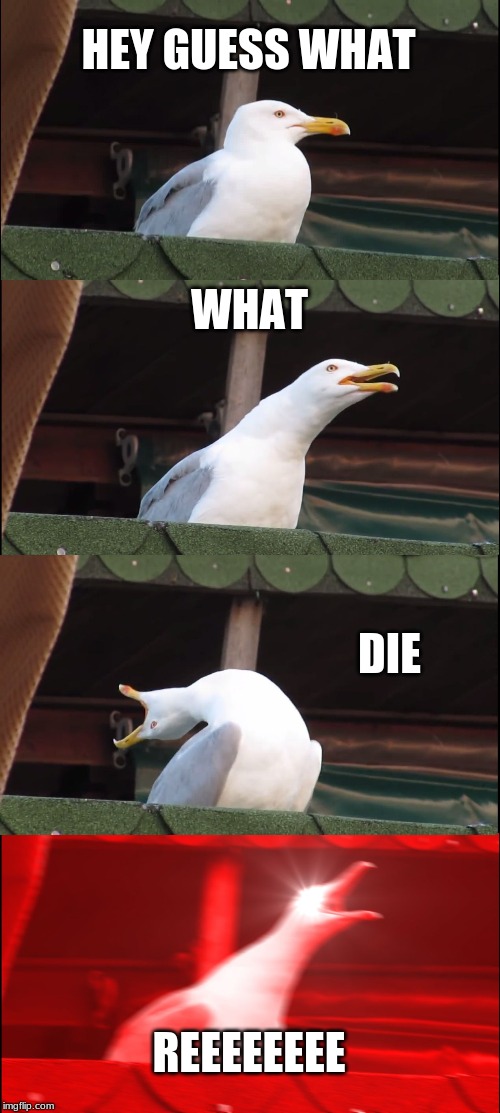 Inhaling Seagull Meme | HEY GUESS WHAT; WHAT; DIE; REEEEEEEE | image tagged in memes,inhaling seagull | made w/ Imgflip meme maker