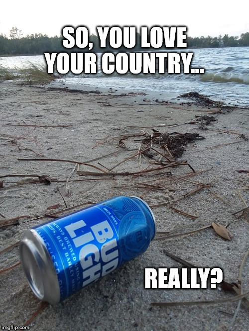 SO, YOU LOVE YOUR COUNTRY... REALLY? | image tagged in outside,litter,patriotism,patriotic,beer,nature | made w/ Imgflip meme maker