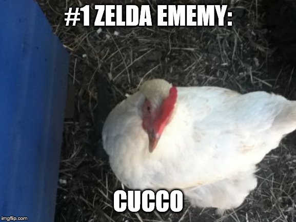 THE NUMBER ONE ZELDA ENEMY | #1 ZELDA EMEMY:; CUCCO | image tagged in memes,angry chicken boss | made w/ Imgflip meme maker