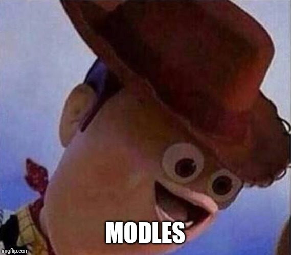 Derp Woody | MODLES | image tagged in derp woody | made w/ Imgflip meme maker