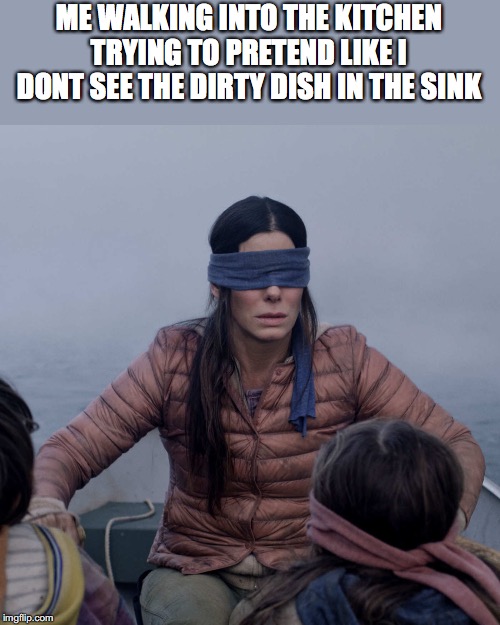 Bird Box Meme | ME WALKING INTO THE KITCHEN TRYING TO PRETEND LIKE I DONT SEE THE DIRTY DISH IN THE SINK | image tagged in memes,bird box | made w/ Imgflip meme maker