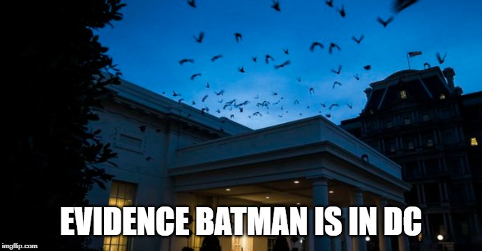 Assuming these are bats... | EVIDENCE BATMAN IS IN DC | image tagged in dc,batman,white house,dusk,commissioner gordon | made w/ Imgflip meme maker