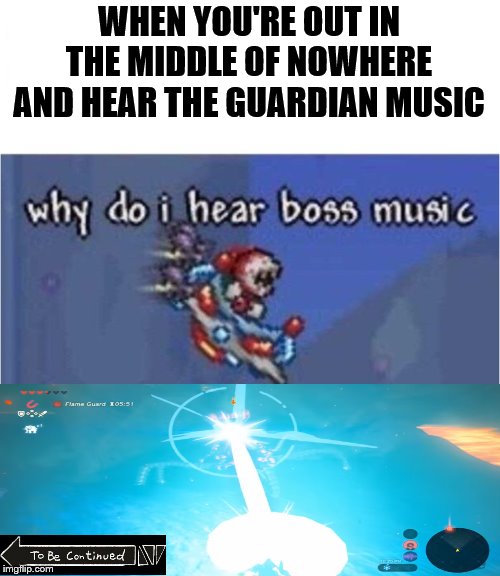why do i hear boss music | WHEN YOU'RE OUT IN THE MIDDLE OF NOWHERE AND HEAR THE GUARDIAN MUSIC | image tagged in why do i hear boss music | made w/ Imgflip meme maker