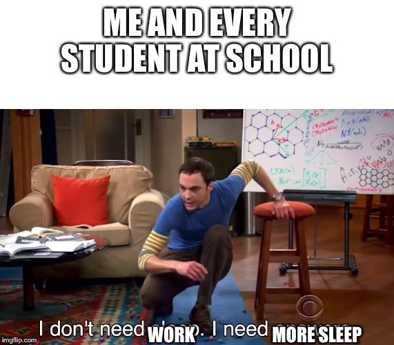 I Don't Need Sleep. I Need Answers | ME AND EVERY STUDENT AT SCHOOL; MORE SLEEP; WORK | image tagged in i don't need sleep i need answers | made w/ Imgflip meme maker