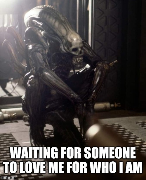 WAITING FOR SOMEONE TO LOVE ME FOR WHO I AM | image tagged in xenomorph,sad alien | made w/ Imgflip meme maker