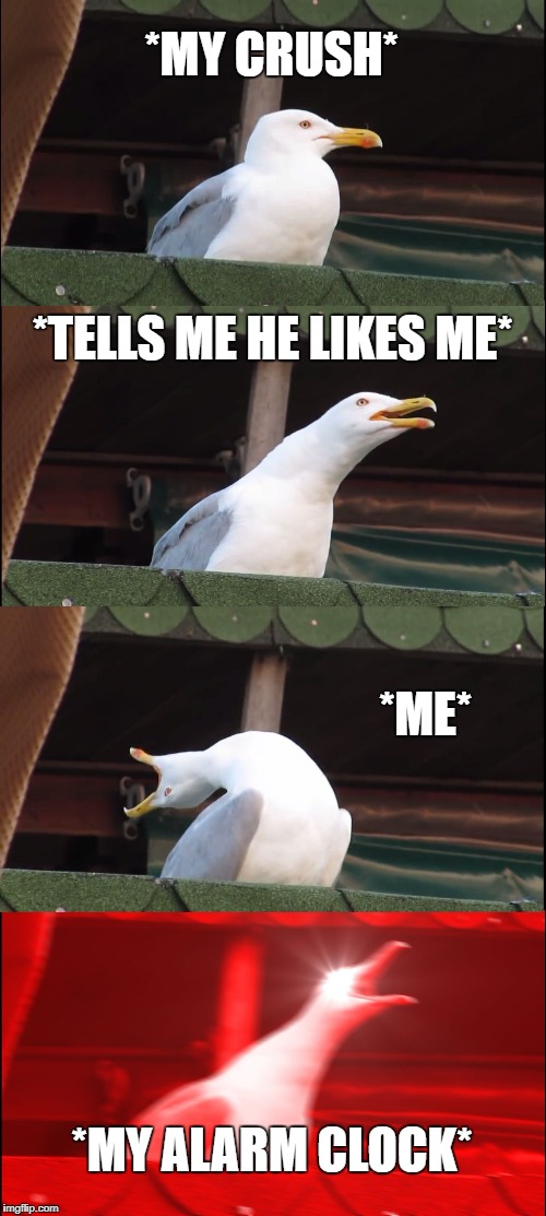 Inhaling Seagull | *MY CRUSH*; *TELLS ME HE LIKES ME*; *ME*; *MY ALARM CLOCK* | image tagged in memes,inhaling seagull | made w/ Imgflip meme maker
