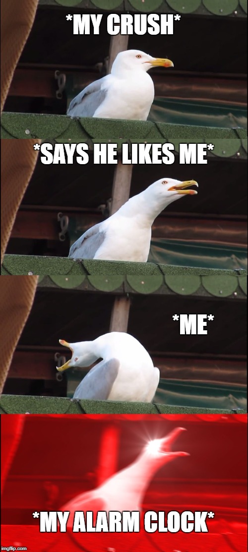 *MY CRUSH* *SAYS HE LIKES ME* *ME* *MY ALARM CLOCK* | image tagged in memes,inhaling seagull | made w/ Imgflip meme maker