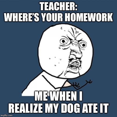 Y U No Meme | TEACHER: WHERE’S YOUR HOMEWORK; ME WHEN I REALIZE MY DOG ATE IT | image tagged in memes,y u no | made w/ Imgflip meme maker