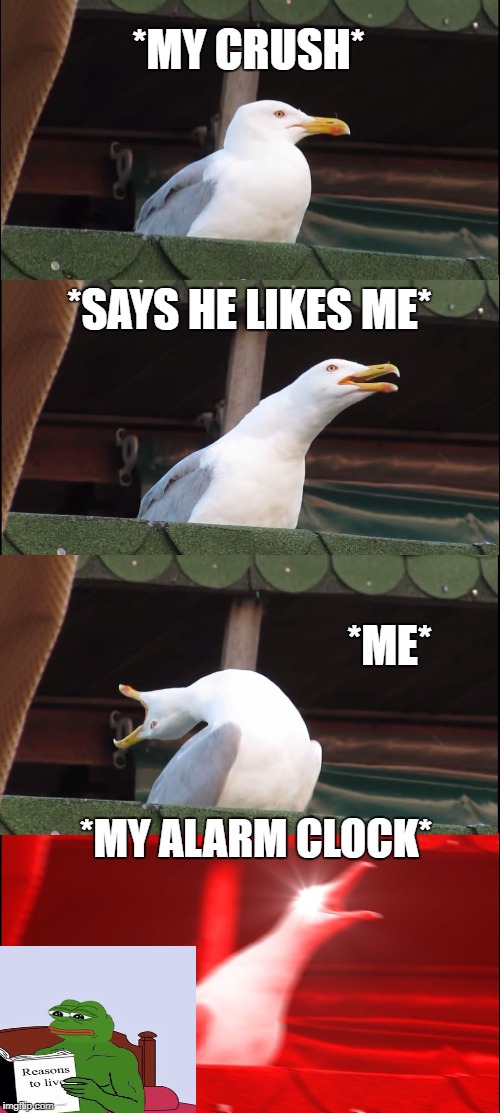 Inhaling Seagull | *MY CRUSH*; *SAYS HE LIKES ME*; *ME*; *MY ALARM CLOCK* | image tagged in memes,inhaling seagull | made w/ Imgflip meme maker