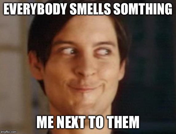 Spiderman Peter Parker Meme | EVERYBODY SMELLS SOMTHING; ME NEXT TO THEM | image tagged in memes,spiderman peter parker | made w/ Imgflip meme maker