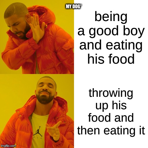 Drake Hotline Bling | being a good boy and eating his food; MY DOG*; throwing up his food and then eating it | image tagged in memes,drake hotline bling | made w/ Imgflip meme maker