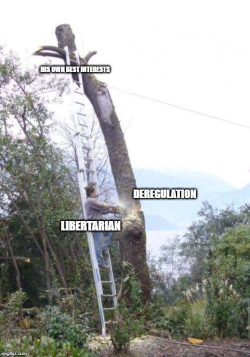 HIS OWN BEST INTERESTS; DEREGULATION; LIBERTARIAN | image tagged in libertarian | made w/ Imgflip meme maker