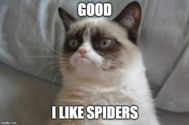 Grumpy cat | GOOD I LIKE SPIDERS | image tagged in grumpy cat | made w/ Imgflip meme maker