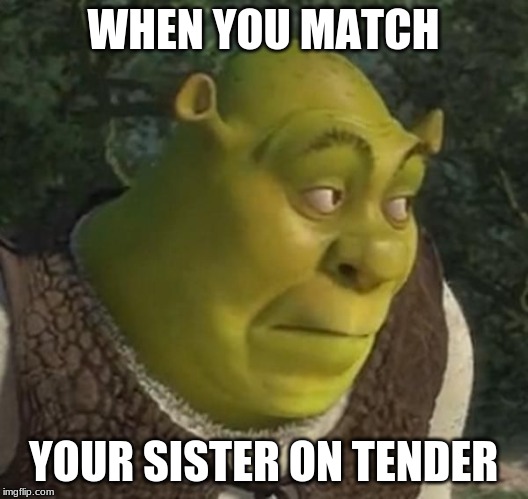 WHEN YOU MATCH; YOUR SISTER ON TENDER | image tagged in shrek | made w/ Imgflip meme maker