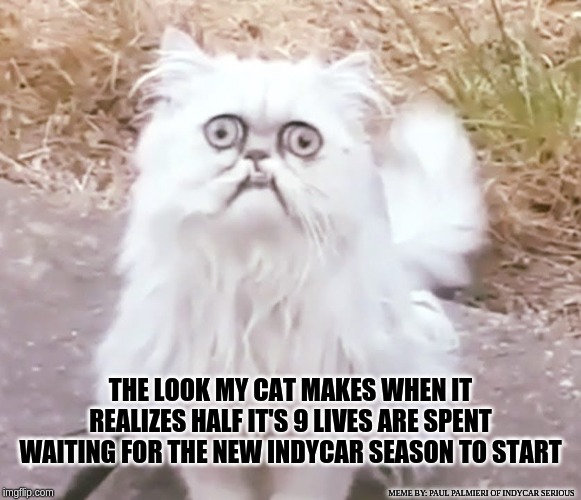 Tis the Off Season to Lose Half my 9-Lives. |  THE LOOK MY CAT MAKES WHEN IT REALIZES HALF IT'S 9 LIVES ARE SPENT WAITING FOR THE NEW INDYCAR SEASON TO START; MEME BY: PAUL PALMIERI OF INDYCAR SERIOUS | image tagged in indycar series,funny memes,hilarious memes,cat memes,indycar,indycar serious | made w/ Imgflip meme maker