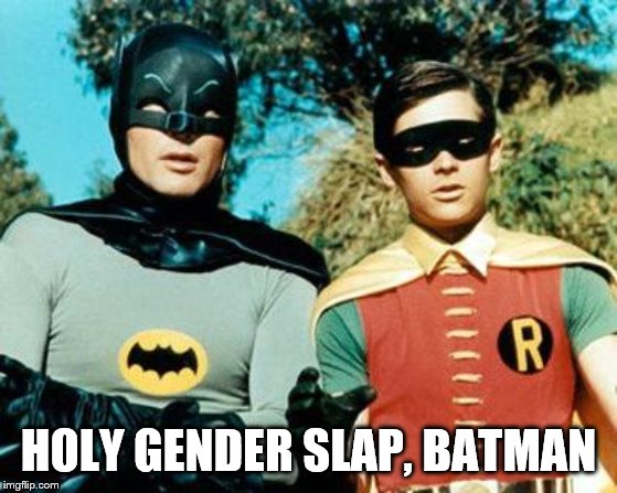 Batman and Robin | HOLY GENDER SLAP, BATMAN | image tagged in batman and robin | made w/ Imgflip meme maker