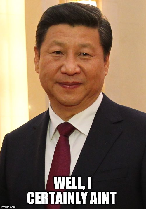 Xi Jinping | WELL, I CERTAINLY AINT | image tagged in xi jinping | made w/ Imgflip meme maker