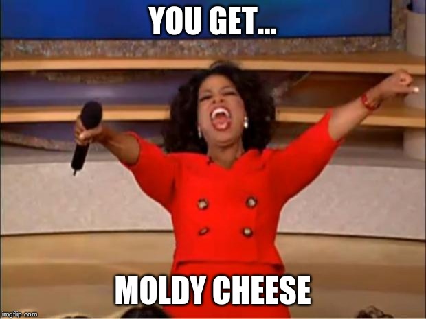 Oprah You Get A Meme | YOU GET... MOLDY CHEESE | image tagged in memes,oprah you get a | made w/ Imgflip meme maker