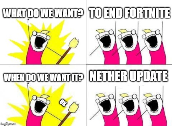 What Do We Want Meme | WHAT DO WE WANT? TO END FORTNITE; NETHER UPDATE; WHEN DO WE WANT IT? OK | image tagged in memes,what do we want | made w/ Imgflip meme maker