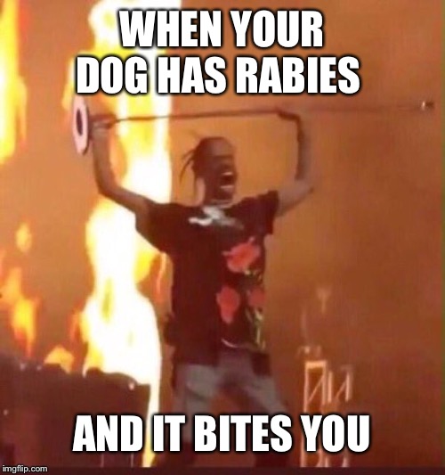 Travis Scott  | WHEN YOUR DOG HAS RABIES; AND IT BITES YOU | image tagged in travis scott | made w/ Imgflip meme maker