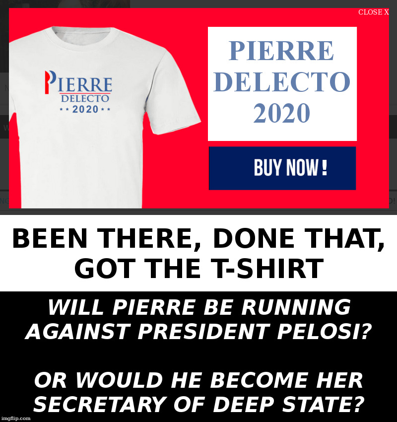Pierre Delecto 2020 | image tagged in mitt romney,never trump,rino,deep state,trump,pelosi | made w/ Imgflip meme maker