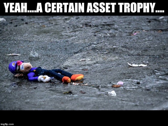 Waluigis fogoten  | YEAH....A CERTAIN ASSET TROPHY.... | image tagged in waluigis fogoten | made w/ Imgflip meme maker