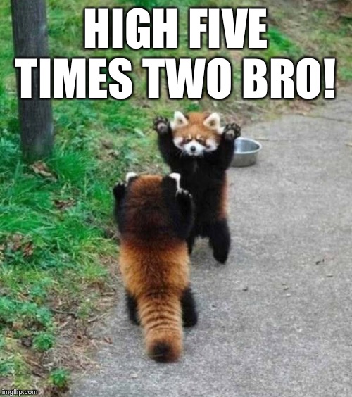 HIGH FIVE TIMES TWO BRO! | made w/ Imgflip meme maker