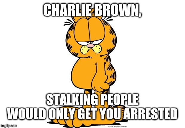 Grumpy Garfield | CHARLIE BROWN, STALKING PEOPLE WOULD ONLY GET YOU ARRESTED | image tagged in grumpy garfield | made w/ Imgflip meme maker