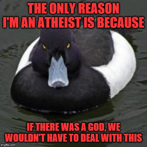 Angry Advice Mallard | THE ONLY REASON I'M AN ATHEIST IS BECAUSE; IF THERE WAS A GOD, WE WOULDN'T HAVE TO DEAL WITH THIS | image tagged in angry advice mallard | made w/ Imgflip meme maker