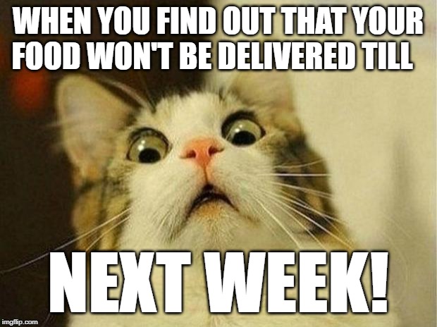 Scared Cat Meme | WHEN YOU FIND OUT THAT YOUR FOOD WON'T BE DELIVERED TILL; NEXT WEEK! | image tagged in memes,scared cat | made w/ Imgflip meme maker