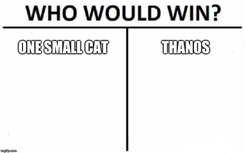 Who Would Win? | ONE SMALL CAT; THANOS | image tagged in memes,who would win | made w/ Imgflip meme maker