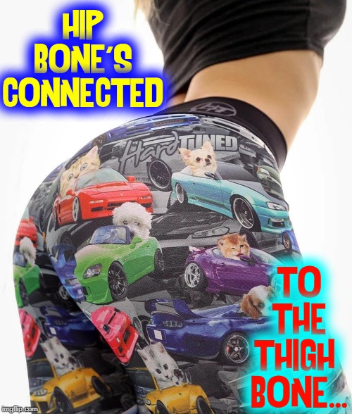 Studying Human Anatomy can be Fulfilling | HIP BONE'S CONNECTED; TO THE THIGH  BONE... | image tagged in vince vance,big booty,cars,clothing,well put together,jdm | made w/ Imgflip meme maker