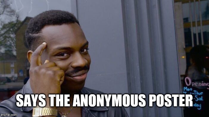 Roll Safe Think About It Meme | SAYS THE ANONYMOUS POSTER | image tagged in memes,roll safe think about it | made w/ Imgflip meme maker