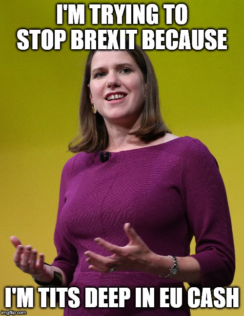 Gravy Train | I'M TRYING TO STOP BREXIT BECAUSE; I'M TITS DEEP IN EU CASH | image tagged in jo swinson,brexit,liberal democrat,betrayal | made w/ Imgflip meme maker