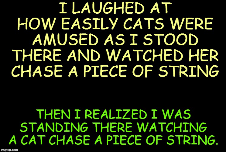 (Sigh!) | I LAUGHED AT HOW EASILY CATS WERE AMUSED AS I STOOD THERE AND WATCHED HER CHASE A PIECE OF STRING; THEN I REALIZED I WAS STANDING THERE WATCHING A CAT CHASE A PIECE OF STRING. | image tagged in funny | made w/ Imgflip meme maker