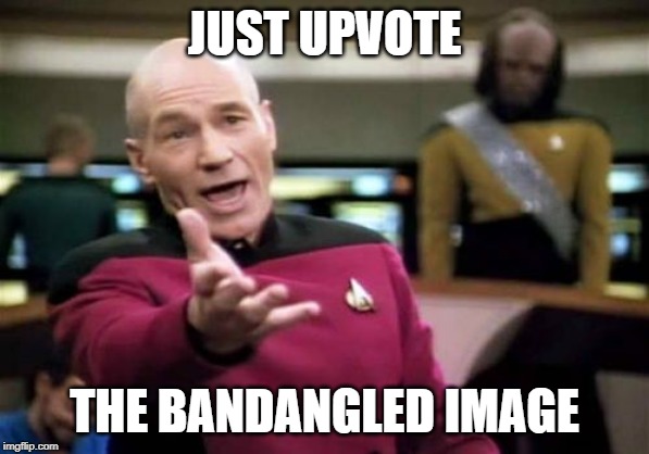 Picard Wtf Meme | JUST UPVOTE; THE BANDANGLED IMAGE | image tagged in memes,picard wtf | made w/ Imgflip meme maker